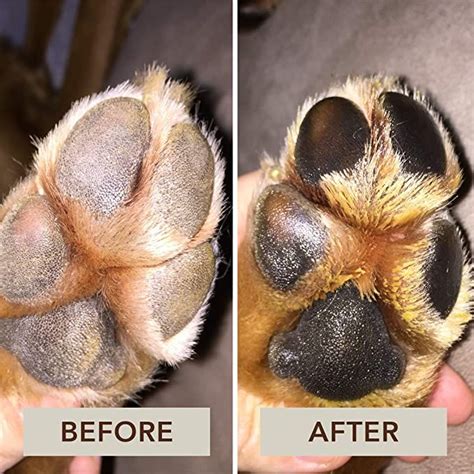 Natural Dog Company Paw Soother Heals Dry Cracked