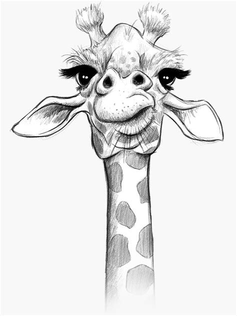 Sketch Giraffe Sticker By Jonthomson Redbubble Animal Drawings