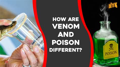 What Is The Difference Between Venom And Poison