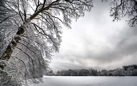 Winter Snow Trees Landscape Nature White Wallpaper Coolwallpapersme