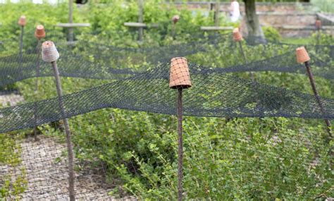 The world's best commercial bird netting product stealthnet® bird netting protects property by keeping out pest birds. Bird netting protecting your garden! | Bird netting ...