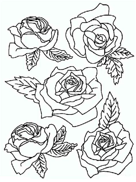 19 free printable coloring pages for adults roses roses drawing rose coloring pages tattoo design drawings. Rose coloring pages. Download and print Rose coloring pages