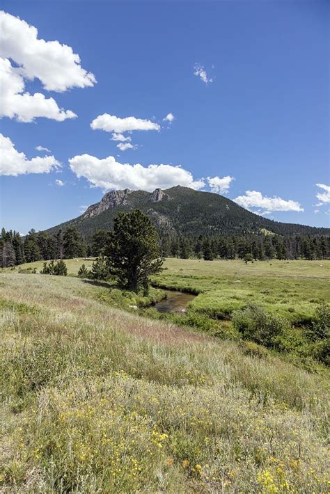 A Lush Meadow In Rocky Mountain National Park In The Front Range Of The