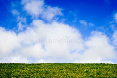 Grass Horizon Stock Photo Image Of Background Field 17619004