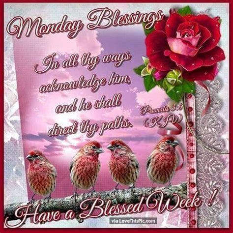We all have a responsibility, and since i've been so wonderfully blessed, i really want to share and to make life at least a little better. Monday Blessings Have A Blessed Week! Pictures, Photos ...