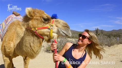 The best camel ride tour in Los Cabos | Outback and Camel Safari by