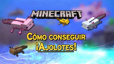 Minecraft Cómo Conseguir Ajolotes Y Domesticarlos Fácilmente