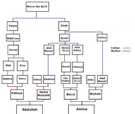 Silsilah Nabi Muhammad Saw Ke Bawah Jual Sejarah Silsilah Gelar Sexiz Pix