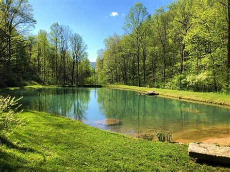 Luxury Mill Creek Cabin In Blacksburg Vacation Home In Blacksburg