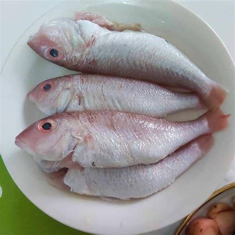 Resep Ikan Kerisi Asam Pedas Khas Bangka Yang Enak