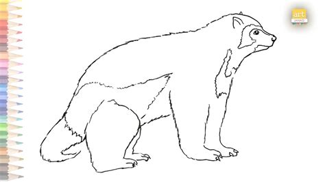 Wolverine Animal Outline Drawing Easy Draw A Wolverine Step By Step