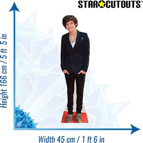 Harry Styles One Direction Lifesize Cardboard Cutout