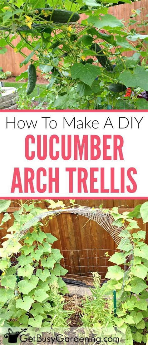 First to save space, anything that has vines can take up so much space, creep into other vegetables. Cucumber Trellis DIY: How To Make A Cucumber Arch Trellis ...
