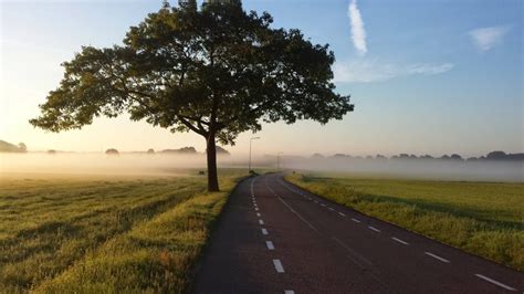 Foggy Country Country Fog Road Tree Road Hd Wallpaper Rare Gallery