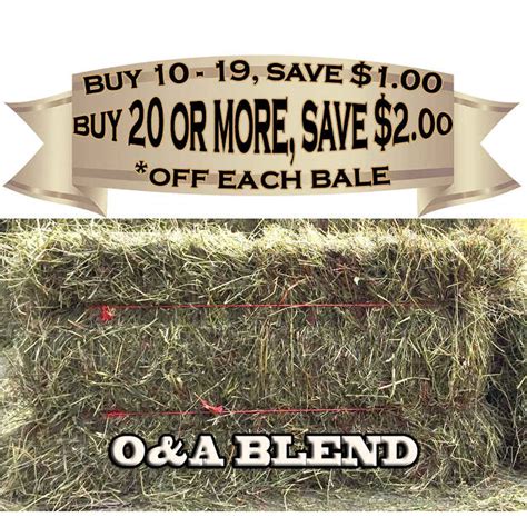 Quality Orchard Grass And Alfalfa Hay Bale 61lb To 65lb Sunset Feed