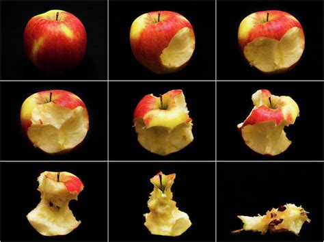 Eat An Apple In 9 Easy Steps A Usefull Schematic Poster Travelartpix
