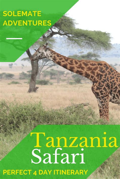 Tanzania Safari Perfect 4 Day Itinerary Solemate Adventures