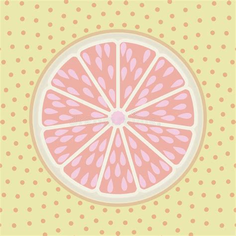 Grapefruit Slice Stock Vector Illustration Of Group 35836246