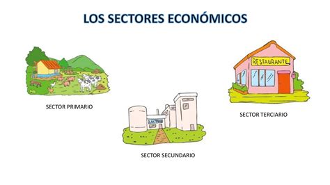 Los 5 Sectores Econmicos De La Economa Actividades