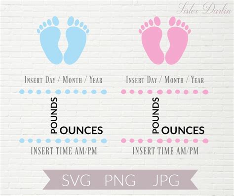 Baby Stats Svg Baby Stats Elephant Template Cricut File Baby