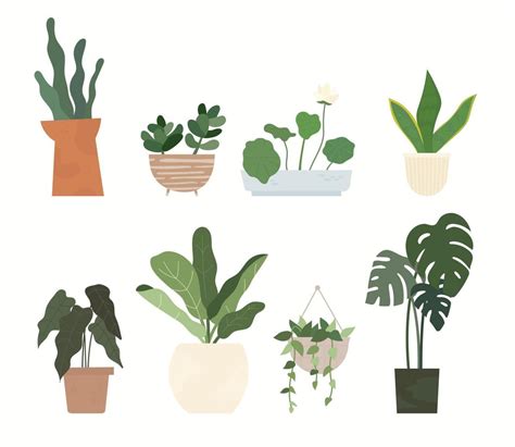 Various Plant Pots For Home Gardening Flat Design Style Minimal Vector