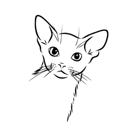 Retrato Dibujado A Mano De Lindo Gato Ilustración Vectorial Aislado En