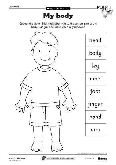 body parts worksheet     dictionary  label parts