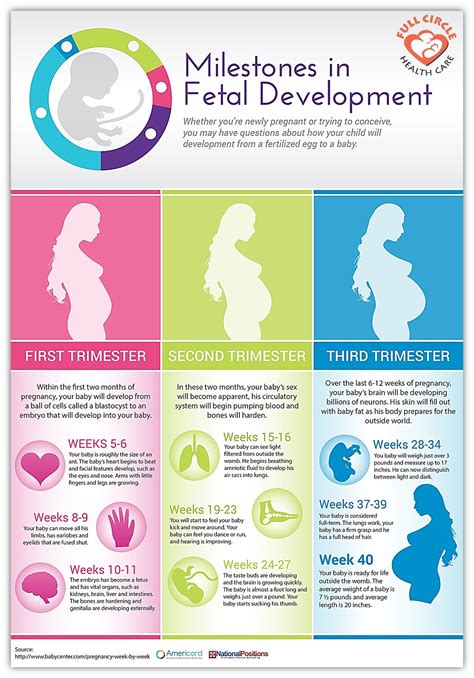 Prenatal Visit Schedule Hiccups Pregnancy