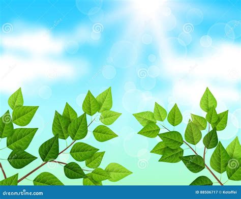 Background With Blue Sky Branches Green Leaves Stock Vector
