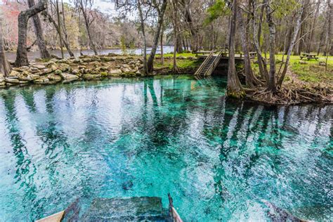 6 Of The Best Swimming Lakes In Florida By Holiday Genie