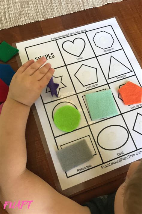 Shape Recognition Activity From Under A Palm Tree Shape Activities