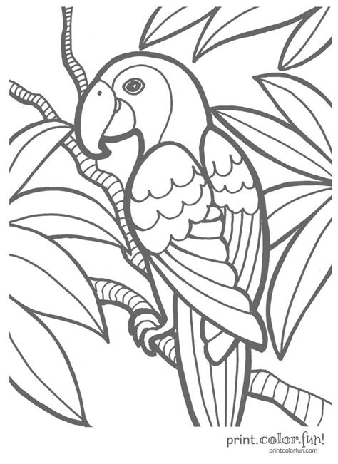 See more ideas about coloring pages, adult coloring pages, adult coloring. Parrot | Print. Color. Fun! Free printables, coloring ...