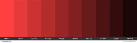 Shades Of Coral Red Color Ff4040 Hex Colorswall