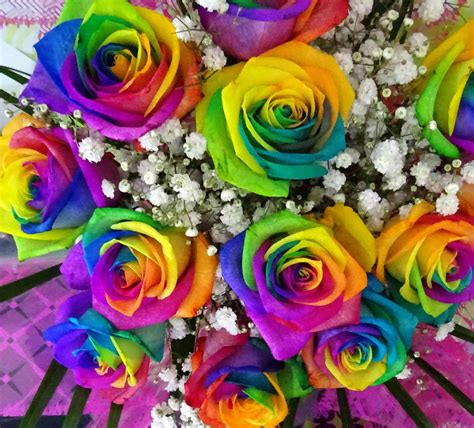 Rainbow Roses 40 Wallpapers Adorable Wallpapers