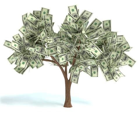 Maybe you would like to learn more about one of these? Money Tree Stock Photos, Pictures & Royalty-Free Images - iStock