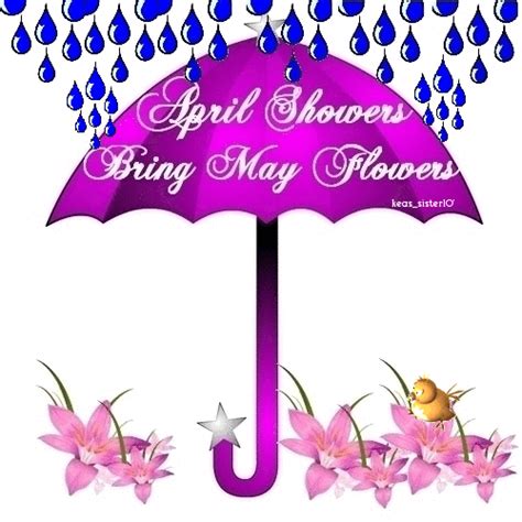 April Showers Bring May Flowers Pictures Photos And Images For