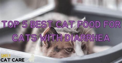 5 Best Cat Food For Cats With Diarrhea 2022 Simply Cat Care