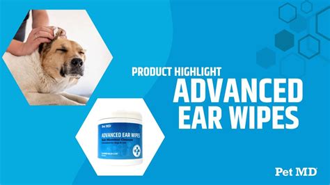 Why Your Pet Needs Pet Md Advanced Ear Wipes Youtube