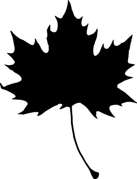 Fall Leaf Silhouette At Getdrawings Free Download