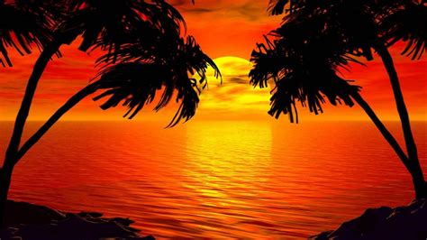 Tropical Sunrise Wallpapers Top H Nh Nh P