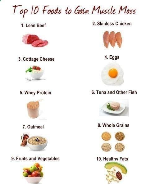 Top 10 Foods To Gain Muscle Mass Fit Foods Food To Gain Muscle