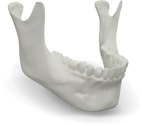 Tmj Treatment Coastal Connecticut Dentistry Waterford Ct