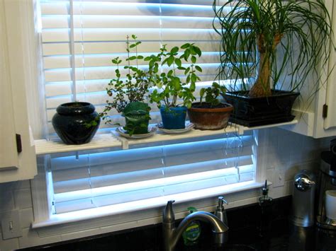 Diy Kitchen Plant Shelf Nicholsnotes
