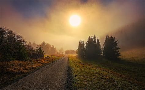 Hd Wallpaper Nature Landscape Morning Mist Grass Trees Dirt Road