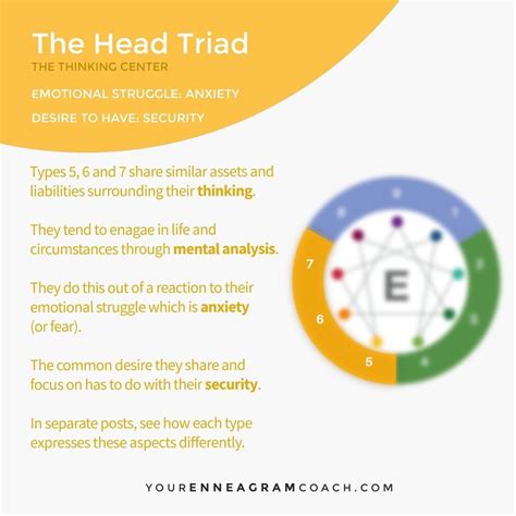 the head triad contains types 5 6 and 7 they have similar assets and liabilities surrounding