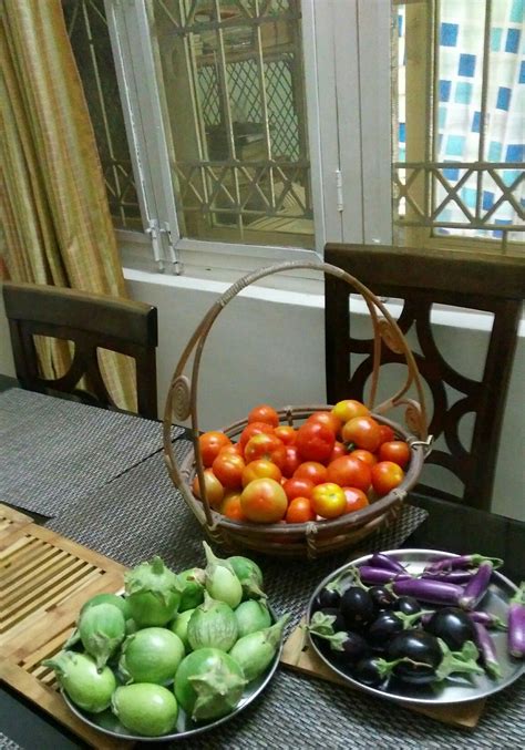 Fresh Tomatoes And Different Varieties Of Brinjals From My Kitchen