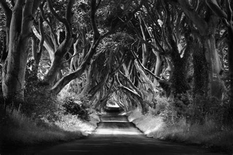 Black And White Landscapes Of Ireland~ Dublin Camera Club Photographer