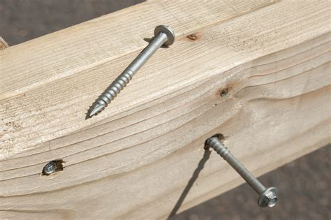 The Different Types Of Timber Screws Carpenters Mate