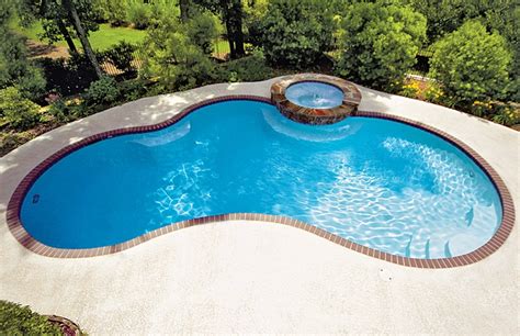 Free Form Pool Ideas Shapes And Pictures Blue Haven Swimming Pool