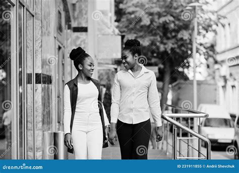 Two Stylish African American Girls Stock Image Image Of Portrait American 231911855